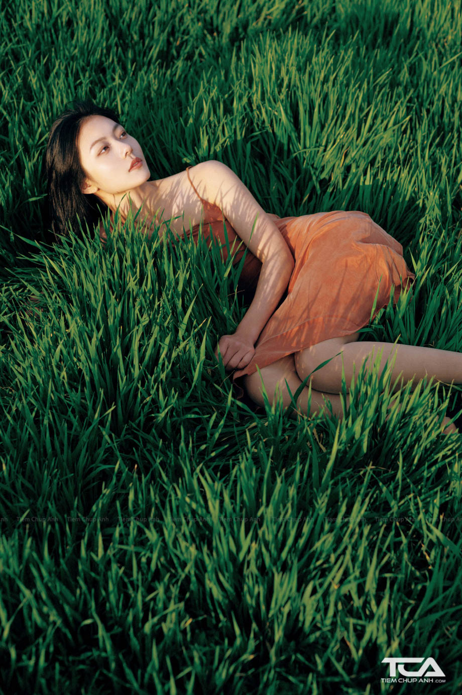 Chụp ảnh chân dung tại đồng cỏ