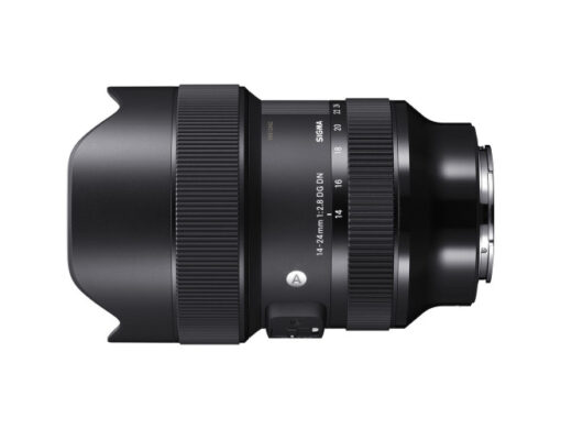 sigma 14 24 2.8 sony