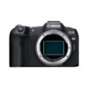 Cho thuê body Canon R8