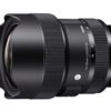 sigma 14 24mm f 2.8 dg dn art