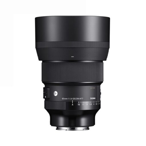 sigma 85mm f1 4 dg dn art